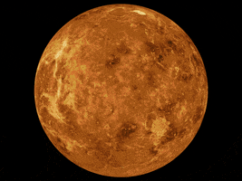 Venus animation
